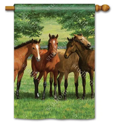 Grazing Time Standard Flag