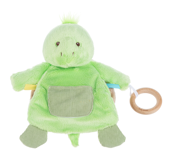 Turtle Sensory Toy