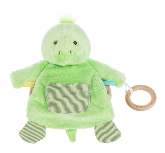 Turtle Sensory Toy