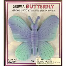 GROW A BUTTERFLY